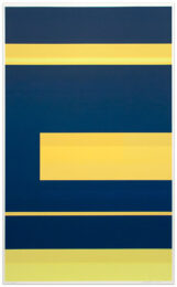 Protest 1/1 #44 by Kate Shepherd at Krakow Witkin Gallery