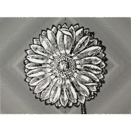 Psychotrope by Paul Morrison at Manifold Editions