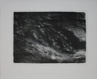 Rattenzug by Andreas Paul Weber at Sylvan Cole Gallery