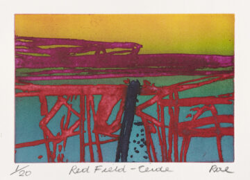Red Field-Ćeide by Barbara Rae at Royal Academy of Arts