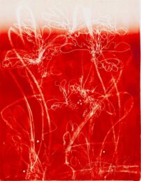 Red Hook by Nancy Lasar at VanDeb Editions