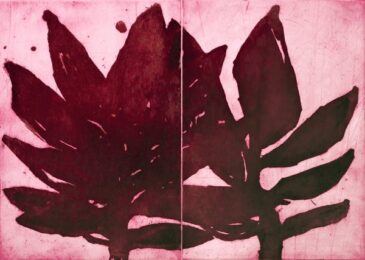 Red Twins by Nancy Azara at VanDeb Editions