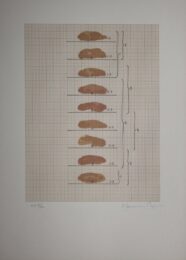 Redfern by Joan Hernandez Pijuan at Sylvan Cole Gallery