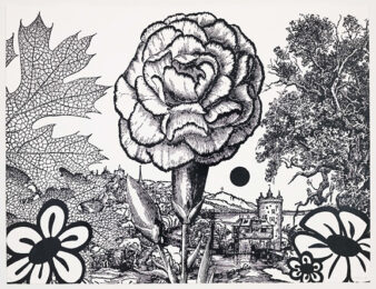 Rhexia by Paul Morrison at Aspinwall Editions