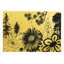 Rosy Fingered Dawn by Paul Morrison at Manifold Editions