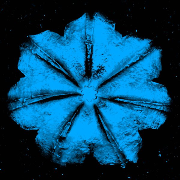 Power Flower N-4 (turquoise On Black) by Rubem Robierb