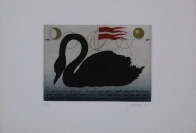 Schwarzer Schwan / Black Swan by Alois Janak at Sylvan Cole Gallery