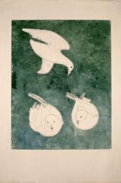 Seaguls by Joseph Hecht at Editions Graphiques Ltd