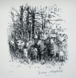 Sheep Sheltering: Winter At Llwynhir by Diana Armfield at Pomegranate Fine Art