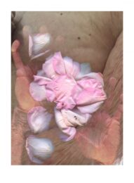 Signifier 3 by Barbara T. Smith at Cirrus Gallery + Cirrus Editions Ltd.