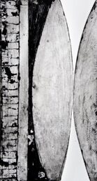 Similitudes by Arden Scott at VanDeb Editions
