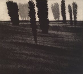 Slope w/three dark trees by Robert Kipniss at ebo Gallery