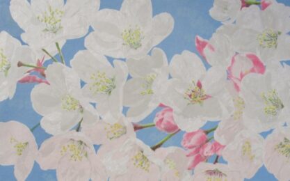Someiyoshino Cherry Blossoms by Rica Bando at ebo Gallery
