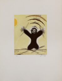 Soplanes Vrv by Zush / Evru at Sylvan Cole Gallery