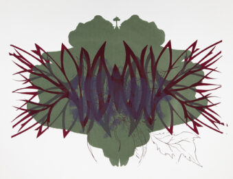 Spilling Memory 39 by Janaina Tschape at Lower East Side Printshop