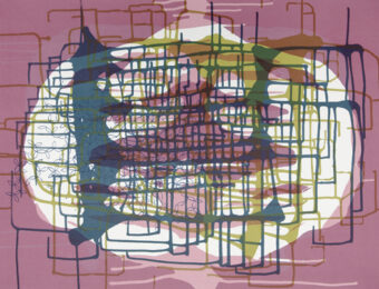 Spilling Memory 43 by Janaina Tschape at Lower East Side Printshop