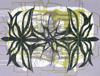 Spilling Memory 48 by Janaina Tschape at Lower East Side Printshop