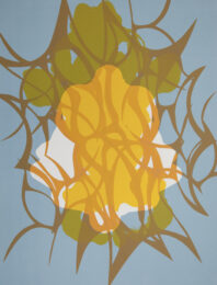 Spilling Memory 58 by Janaina Tschape at Lower East Side Printshop