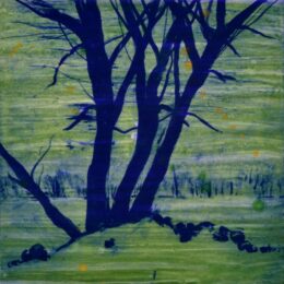 Spring Fever I by Deborah Freedman at Oehme Graphics