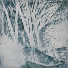 Spring Fever Iii by Deborah Freedman at Oehme Graphics