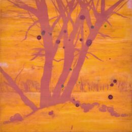 Spring Fever Vi by Deborah Freedman at Oehme Graphics