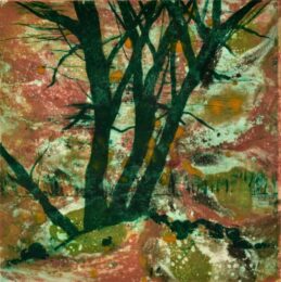 Spring Fever Vii by Deborah Freedman at Oehme Graphics