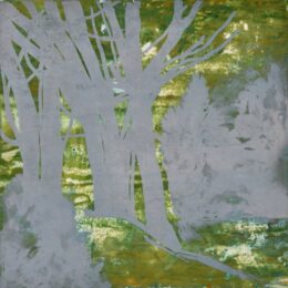 Spring Fever X by Deborah Freedman at Oehme Graphics