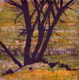 Spring Fever Xii by Deborah Freedman at Oehme Graphics