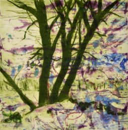Spring Fever Xiii by Deborah Freedman at Oehme Graphics