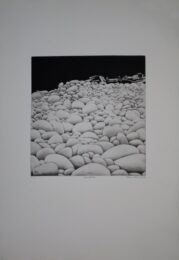 Steinblüten by Verena Vernunft at Sylvan Cole Gallery