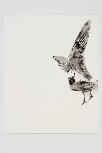 Halfway by Steve Johnson