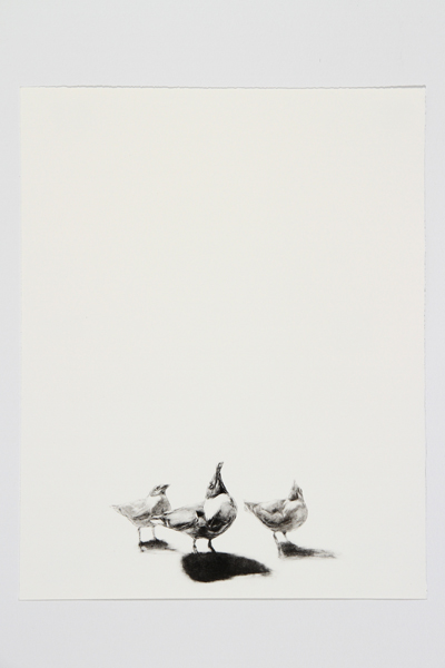 Waiting by Steve Johnson