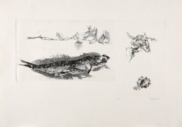 Studi by Renzo Vespignani at Sylvan Cole Gallery