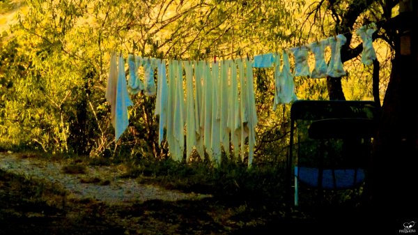 Sueños Colgados by Margarita Bohórquez