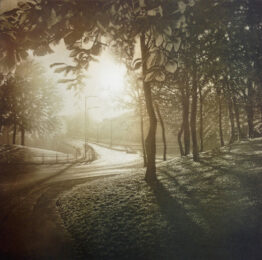 Sun Light IV by Anja Percival at ebo Gallery
