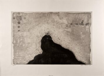Suvirver by Shin Taga at Editions Graphiques Ltd