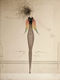 Tangled Hair by Paul Wunderlich at Editions Graphiques Ltd