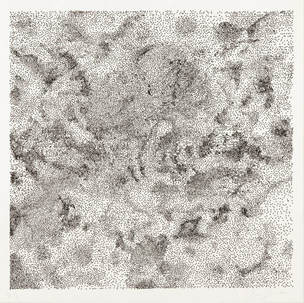 Untitled by Tara Donovan
