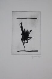 Test Amb Planta by Joan Hernandez Pijuan at Sylvan Cole Gallery