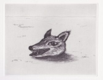 The Head Of Wolf by Tomoko Konoike at KIDO Press