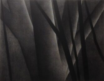 The Life Of Trees At Night Ii by Robert Kipniss at ebo Gallery
