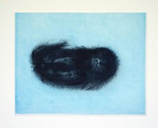 The Lying Beast by Tomoko Konoike at KIDO Press