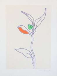 Tigerlily by Lucie Bennett at Eyestorm