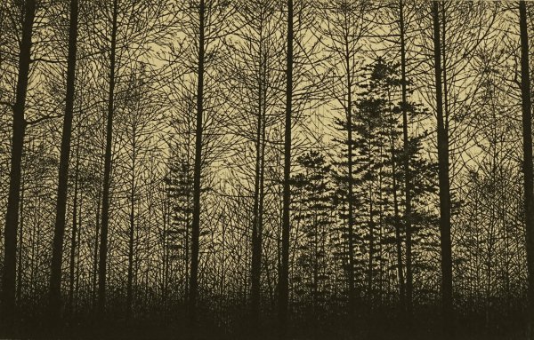 Forest (gampi) by Tokuro Sakamoto