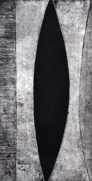 Transmogrofier Translated by Arden Scott at VanDeb Editions
