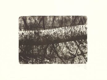 Tree by Hugo Fontela at Sylvan Cole Gallery