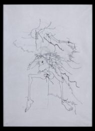 Tropos by Chloe Piene at Highpoint Editions