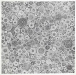 Untitled by Tara Donovan at Aspinwall Editions