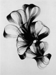 Untitled i by Taiko Chandler at Oehme Graphics