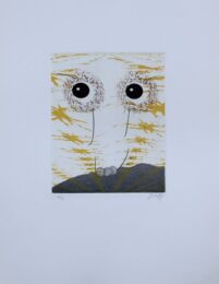 Vludo by Zush / Evru at Sylvan Cole Gallery